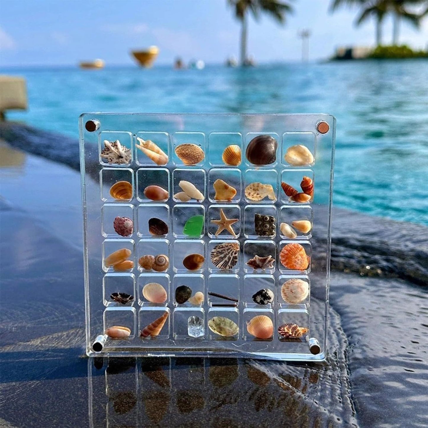 Acrylic Grid Organizer Box